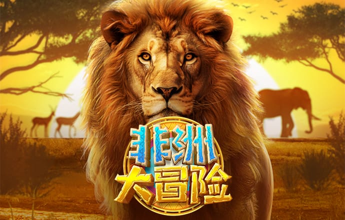 k体育app官网入口下载
